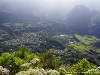 La Réunion Forêt de Bébour Picture