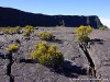 La Réunion Piton de la Fournaise Picture