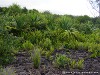 La Réunion Point de la Table Picture