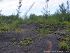 La Réunion Point de la Table Picture