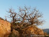 Sardinia Isola Rossa Picture