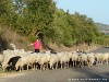 Sardinia monte Nuschele Picture