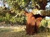 Sardinia monte Nuschele Picture