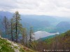 Slovenia Bohinj Picture