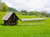 Slovenia Bohinj Picture