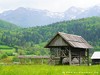 Slovenia Bohinj Picture