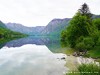 Slovenia Bohinj Picture