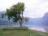 Slovenia Bohinj Picture