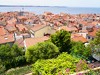 Slovenia Piran Picture