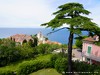 Slovenia Piran Picture