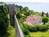 Slovenia Piran Picture