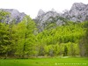 Slovenia Triglav Picture