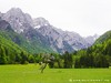 Slovenia Triglav Picture