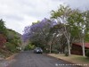 South-africa Barberton Picture