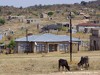 South Africa Picture