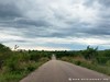 South Africa - Kruger NP - Picture