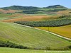 Spain Gastor Picture