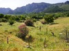 Spain Grazalema Picture