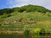 Spain Ribeira Sacra Picture