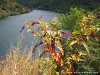 Spain Ribeira Sacra Picture