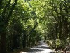 Spain Ribeira Sacra Picture