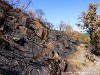 Spain Ribeira Sacra Picture