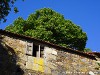 Spain Ribeira Sacra Picture