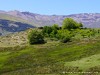 Spain Sierra Nevada Picture