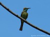 Sri Lanka Kaudulla National Park Picture