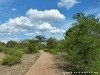 Sri Lanka Kaudulla National Park Picture