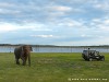 Sri Lanka Kaudulla National Park Picture