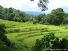 Sri Lanka Knuckles Mountains Picture