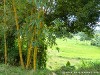 Sri Lanka Knuckles Mountains Picture