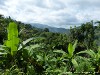 Sri Lanka Knuckles Mountains Picture