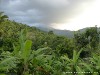 Sri Lanka Knuckles Mountains Picture