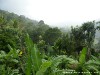 Sri Lanka Knuckles Mountains Picture