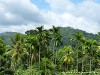 Sri Lanka Knuckles Mountains Picture