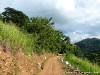 Sri Lanka Knuckles Mountains Picture