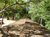 Sri Lanka Polonnaruwa Picture