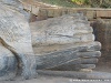 Sri Lanka Polonnaruwa Picture