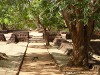 Sri Lanka Sigiriya Picture