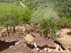 Sri Lanka Sigiriya Picture