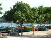 Sri Lanka Tangalle Beach Picture