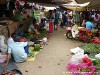 Sri Lanka Tangalle Beach Picture