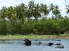 Sri Lanka Tangalle Beach Picture