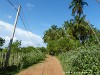 Sri Lanka Tangalle Beach Picture