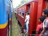 Sri Lanka Train Picture