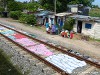 Sri Lanka Train Picture