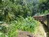 Sri Lanka Train Picture