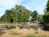 Sri Lanka Elephant Transit Home Picture